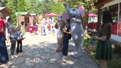 Photo of Pionirska dolina: Održan drugi humanitarni bazar ‘Veliki osmijeh u prirodi’