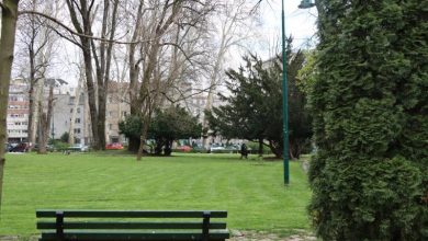 Photo of Ambrozija prisutna u zraku: Date preporuke alergičnim osobama, kao i za uklanjanje opasne korovske biljke