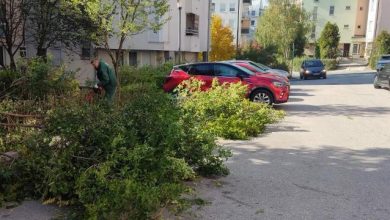 Photo of Ministarstvo i građani: Zajedno za čistiji i uređeniji Šip