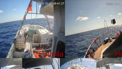 Photo of Privedeno više od 400 aktivista