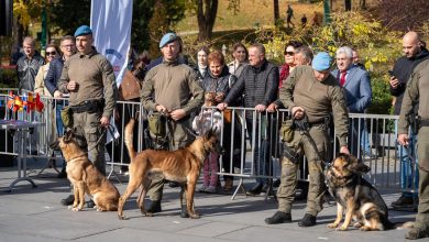 Photo of K9 jedinice: Demonstracija vještine i neraskidive ljubavi vodiča i psa