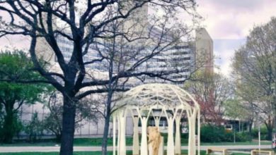 Photo of Na Trgu Ujedinjenih nacija u Beču bit će otkriven spomenik „Cvijet Srebrenice“