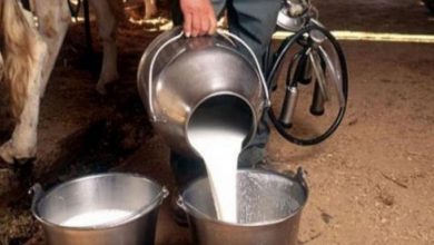 Photo of Veladžić upozorava da nema viška mlijeka na tržištu i traži regulisanje uvoza mlijeka