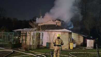 Photo of Požar u Pionirskoj dolini, sve životinje su spašene i premještene