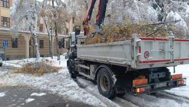 Photo of Park apeluje: Izbjegavajte boravak i parkiranje ispod visokih stabala zbog opasnosti od lomljenja