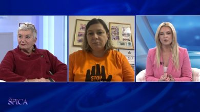 Photo of Žigante Mašić i Raković: “Policija je dužna na licu mjesta praviti procjenu rizika žrtve” (video)