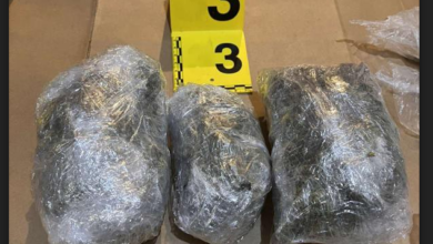 Photo of U akciji “Combo” zaplijenjena droga i oružje na Ilidži