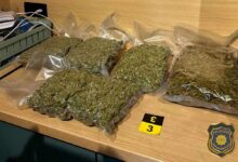 Photo of Uhapšena jedna osoba iz Sarajeva, pronađeno oko 15 kilograma opojne droge