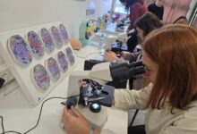 Photo of Počela stručna usavršavanja nastavnika prirodnih nauka škola u KS