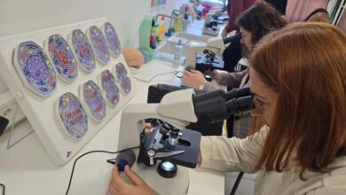 Photo of Počela stručna usavršavanja nastavnika prirodnih nauka škola u KS