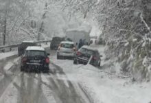 Photo of Na putevima ledena kiša i oborena stabla problem za vozače