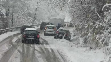 Photo of Na putevima ledena kiša i oborena stabla problem za vozače