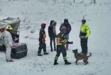 Photo of Vatrogasno društvo Vogošća predstavilo tri međunarodno licencirana potražna psa