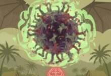 Photo of ZZJZ FBiH: Trenutno nema zabilježenih slučajeva infekcije virusom Nipah u Evropi