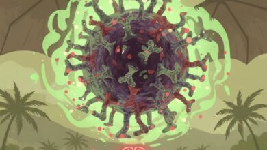 Photo of ZZJZ FBiH: Trenutno nema zabilježenih slučajeva infekcije virusom Nipah u Evropi