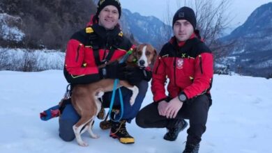 Photo of Pripadnici GSS-a Jablanica spasili lovačkog psa zaglavljenog u stijenama