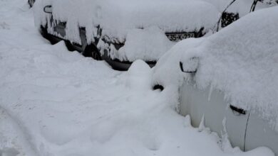 Photo of Od povreda preminula žena na koju je palo stablo u naselju Grbavica