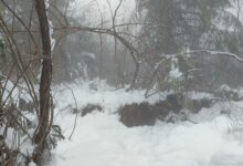 Photo of Civilna zaštita kontinuirano provodi monitoring ugroženih područja od klizišta