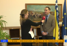 Photo of Musa za TVSA: U Federaciji BiH dato već 15.000 doza HPV vakcina-vakcina protiv raka