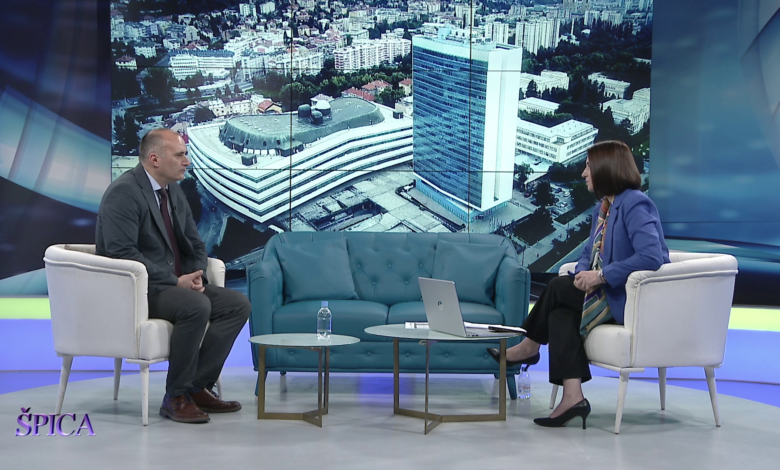 Grković za TVSA: Blokada u Savjetu ministara, parlamentarci sami predlažu zakone