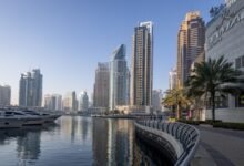 Photo of Ambasador BiH u UAE Đokić potvrdio da je redovan let sa bh državljanima planiran poslijepodne