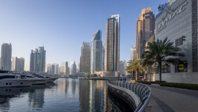 Photo of Ambasador BiH u UAE Đokić potvrdio da je redovan let sa bh državljanima planiran poslijepodne