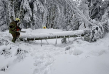 Photo of Zatvoren put Kozarac – Mrakovica zbog snijega i stabala na kolovozu