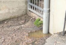 Photo of Devet mjeseci fekalije teku ulicom Panjina Kula, mještani najavljuju proteste pred Općinom