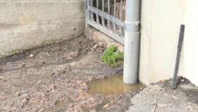 Photo of Devet mjeseci fekalije teku ulicom Panjina Kula, mještani najavljuju proteste pred Općinom
