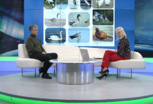 Photo of Ptičja gripa u BiH: Dr. Teufik Goletić za TVSA objašnjava koliko je situacija ozbiljna i šta peradari moraju odmah poduzeti