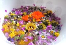 Photo of Fra Ivan Landeka: Blagoslovom grančica simbolično pozdravljamo Isusa koji je darovao svoj život