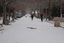 Photo of Sladić upozorio: Dolazi snijeg, ne ići na put bez zimske opreme