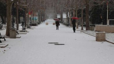 Photo of Sladić upozorio: Dolazi snijeg, ne ići na put bez zimske opreme