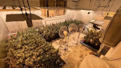 Photo of U akciji MUP-a KS pronađene dvije laboratorije za uzgoj marihuane