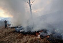 Photo of U Trnovu gori nisko rastinje, vatrogasci na terenu