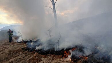Photo of Lokalizovan požar u Trnovu