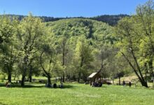 Photo of Pozitivni trendovi u zaštićenim područjima KS: Prvi kvartal 2026. u znaku ulaganja u zaštitu prirode