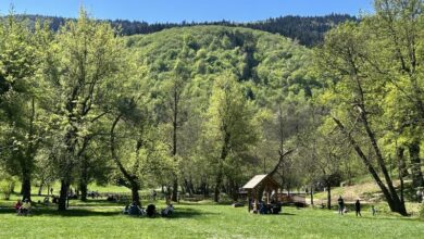 Photo of Pozitivni trendovi u zaštićenim područjima KS: Prvi kvartal 2026. u znaku ulaganja u zaštitu prirode