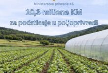 Photo of Vlada KS: Za poljoprivredu i ruralni razvoj u 2026. godini osigurano 10,3 miliona KM