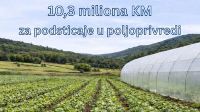 Photo of Vlada KS: Za poljoprivredu i ruralni razvoj u 2026. godini osigurano 10,3 miliona KM