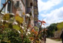 Photo of U BiH jutros sunčano, dnevne temperature do 24 stepena