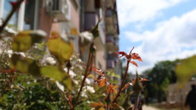 Photo of U BiH jutros sunčano, dnevne temperature do 24 stepena