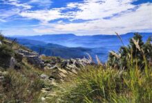 Photo of Apel povodom povećane opasnosti od šumskih požara