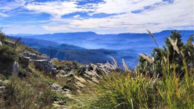 Photo of Apel povodom povećane opasnosti od šumskih požara