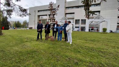 Photo of Sadnjom medonosnog bilja započeta aktvnost uređenja parka za pacijente, usposlenike i posjetioce KCUS-a