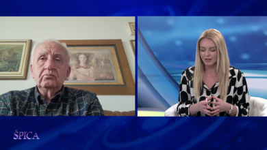 Photo of Vehid Šehić za TVSA: Visoka izlaznost u Mađarskoj rezultat neposrednog kontakta s građanima – BiH treba poštene izbore i jače birače