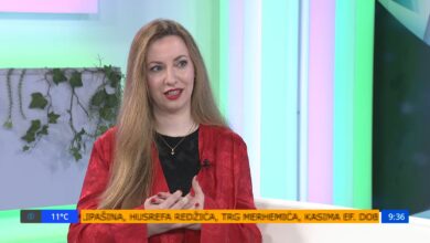 Photo of Spoj nauke i umjetnosti: Dr. Emina Džaferović-Mašić o fizici, poeziji i vještačkoj inteligenciji