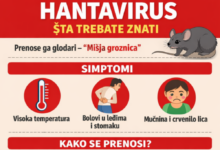 Photo of Zavod za javno zdravstvo KS: Hantavirus – Šta treba znati i kako se zaštititi