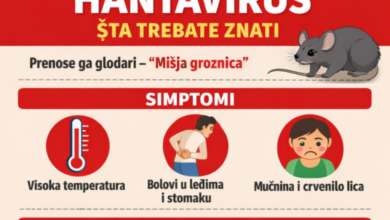 Photo of Zavod za javno zdravstvo KS: Hantavirus – Šta treba znati i kako se zaštititi