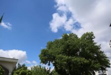 Photo of Sutra sunčano, u drugoj polovini dana povećanje oblačnosti sa juga uz rijedak lokalni pljusak